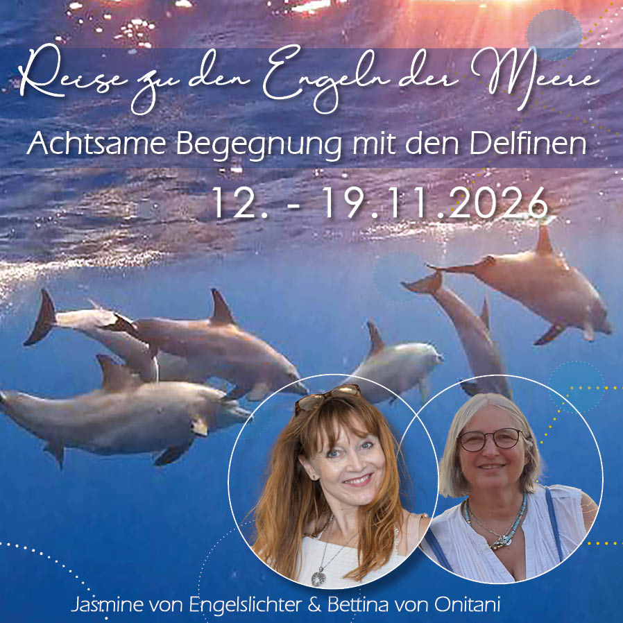 Delfinreise November 2026